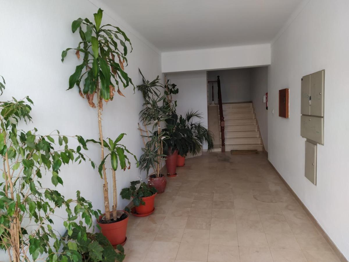 Apartamentos Bau-Doce Cercal do Alentejo Esterno foto